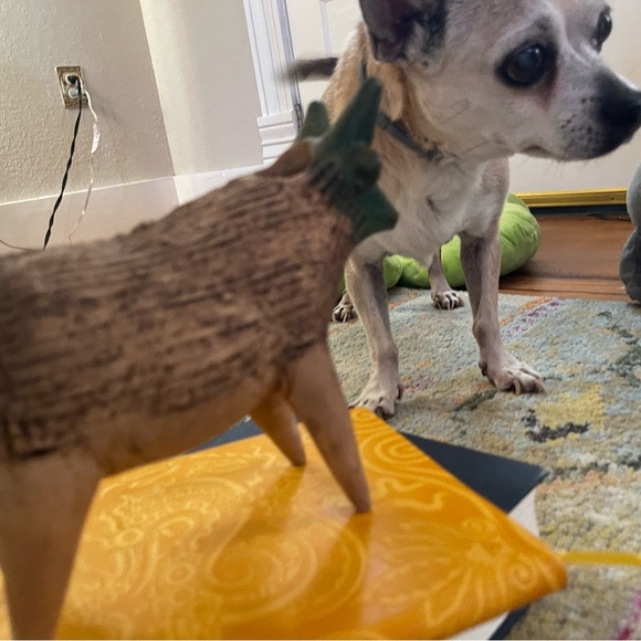 **1977** original release // chia pet // sheep - Picture 3 of 6